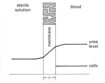 Dialysis+membrane